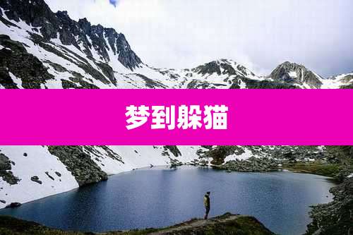 梦到躲猫