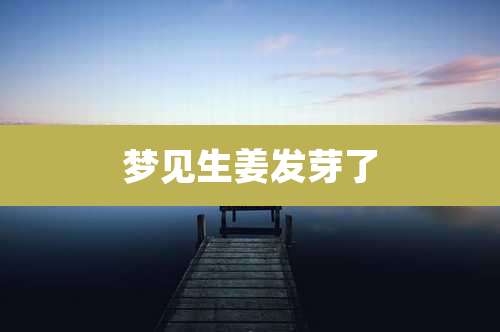 梦见生姜发芽了