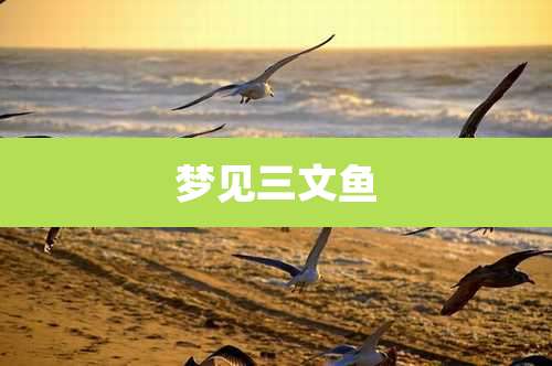梦见三文鱼