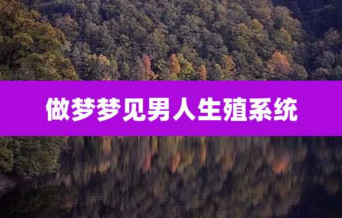 做梦梦见男人生殖系统
