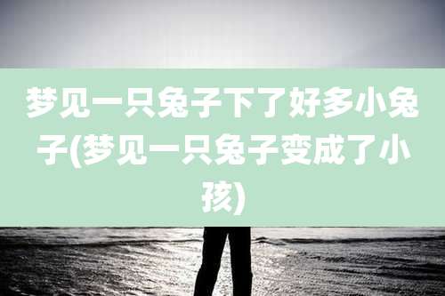 梦见一只兔子下了好多小兔子(梦见一只兔子变成了小孩)