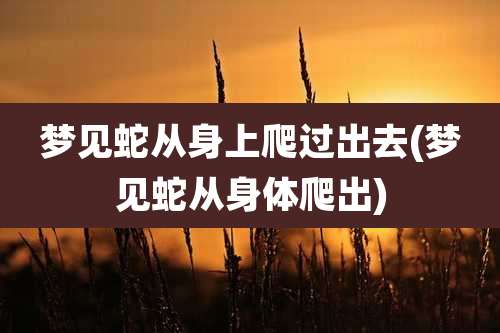 梦见蛇从身上爬过出去(梦见蛇从身体爬出)