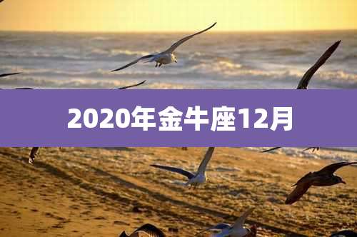2020年金牛座12月