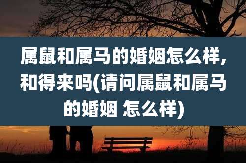 属鼠和属马的婚姻怎么样,和得来吗(请问属鼠和属马的婚姻 怎么样)