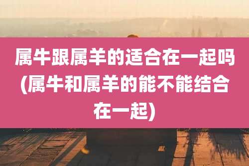 属牛跟属羊的适合在一起吗(属牛和属羊的能不能结合在一起)
