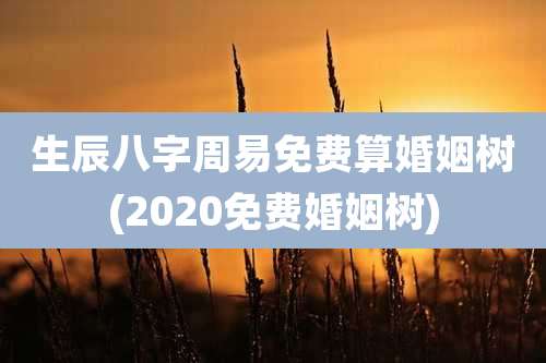 生辰八字周易免费算婚姻树(2020免费婚姻树)