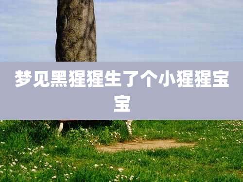梦见黑猩猩生了个小猩猩宝宝