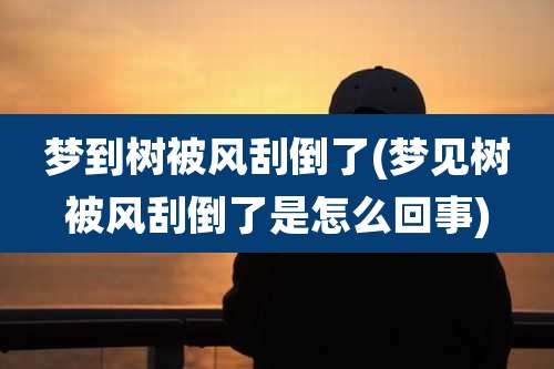 梦到树被风刮倒了(梦见树被风刮倒了是怎么回事)
