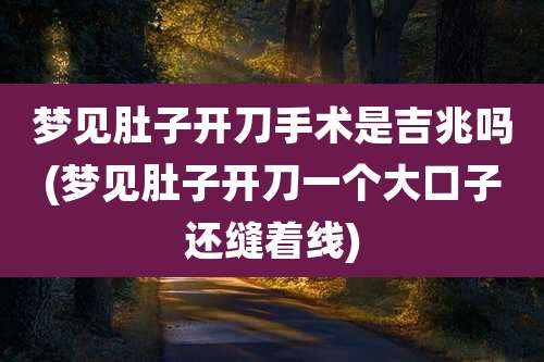 梦见肚子开刀手术是吉兆吗(梦见肚子开刀一个大口子还缝着线)