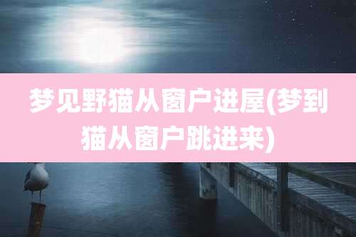 梦见野猫从窗户进屋(梦到猫从窗户跳进来)