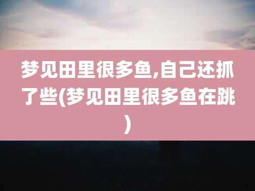 梦见田里很多鱼,自己还抓了些(梦见田里很多鱼在跳)