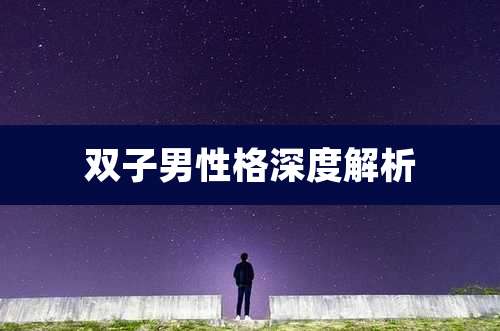 双子男性格深度解析