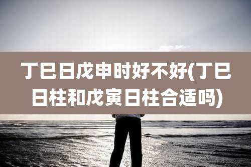 丁巳日戊申时好不好(丁巳日柱和戊寅日柱合适吗)