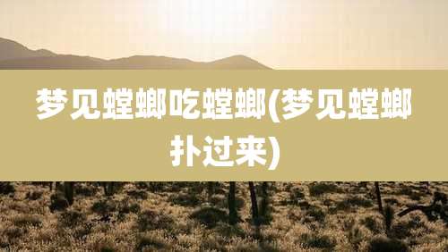 梦见螳螂吃螳螂(梦见螳螂扑过来)