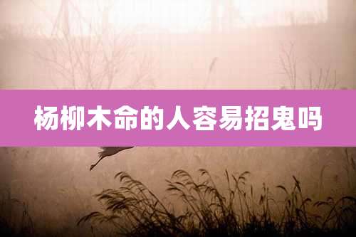 杨柳木命的人容易招鬼吗