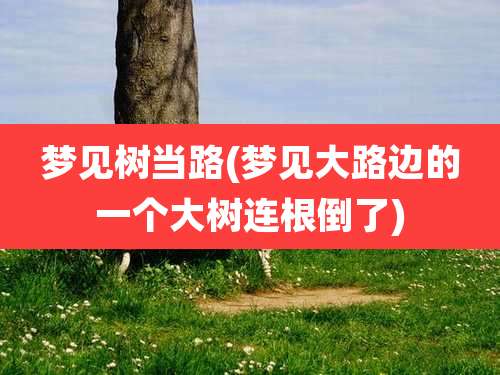 梦见树当路(梦见大路边的一个大树连根倒了)