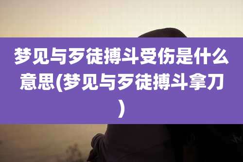 梦见与歹徒搏斗受伤是什么意思(梦见与歹徒搏斗拿刀)