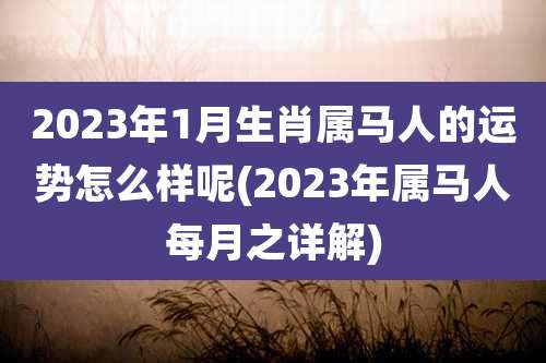 2023年1月生肖属马人的运势怎么样呢(2023年属马人每月之详解)