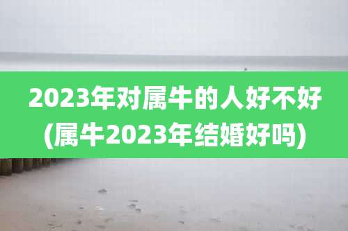 2023年对属牛的人好不好(属牛2023年结婚好吗)
