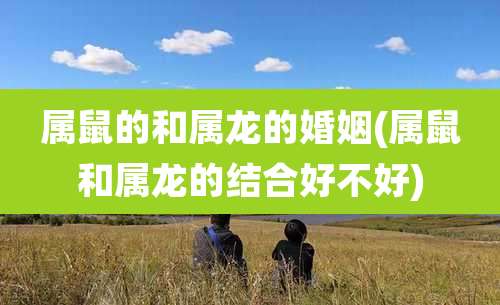 属鼠的和属龙的婚姻(属鼠和属龙的结合好不好)