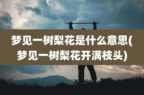 梦见一树梨花是什么意思(梦见一树梨花开满枝头)