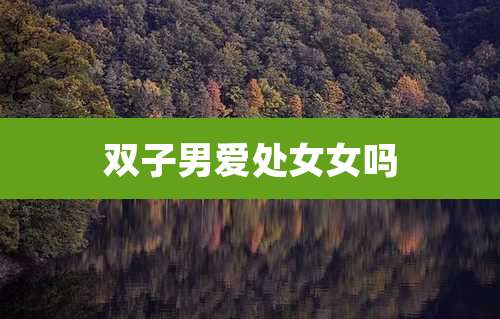 双子男爱处女女吗