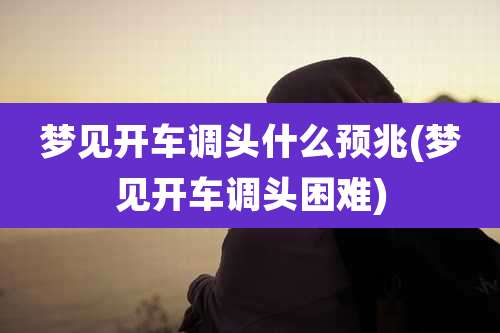 梦见开车调头什么预兆(梦见开车调头困难)