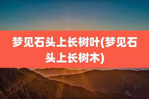 梦见石头上长树叶(梦见石头上长树木)