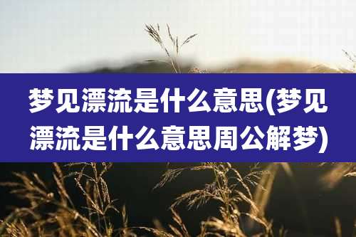 梦见漂流是什么意思(梦见漂流是什么意思周公解梦)