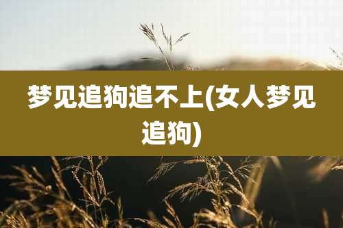 梦见追狗追不上(女人梦见追狗)