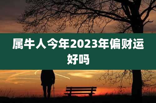 属牛人今年2023年偏财运好吗