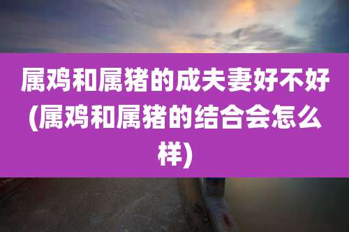 属鸡和属猪的成夫妻好不好(属鸡和属猪的结合会怎么样)