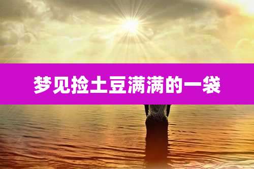 梦见捡土豆满满的一袋