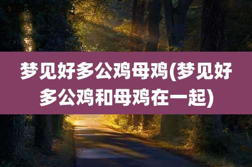 梦见好多公鸡母鸡(梦见好多公鸡和母鸡在一起)
