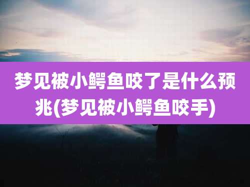 梦见被小鳄鱼咬了是什么预兆(梦见被小鳄鱼咬手)