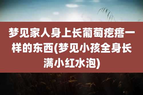 梦见家人身上长葡萄疙瘩一样的东西(梦见小孩全身长满小红水泡)