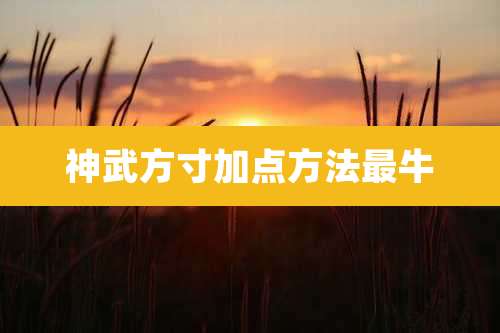 神武方寸加点方法最牛