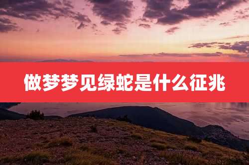 做梦梦见绿蛇是什么征兆