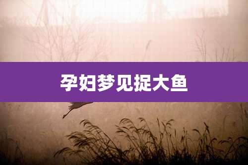 孕妇梦见捉大鱼