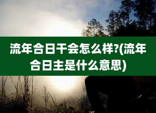 流年合日干会怎么样?(流年合日主是什么意思)