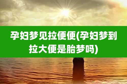 孕妇梦见拉便便(孕妇梦到拉大便是胎梦吗)