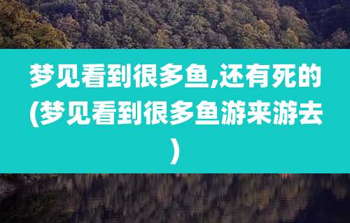 梦见看到很多鱼,还有死的(梦见看到很多鱼游来游去)