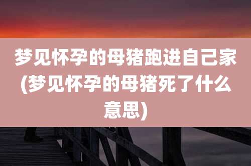梦见怀孕的母猪跑进自己家(梦见怀孕的母猪死了什么意思)