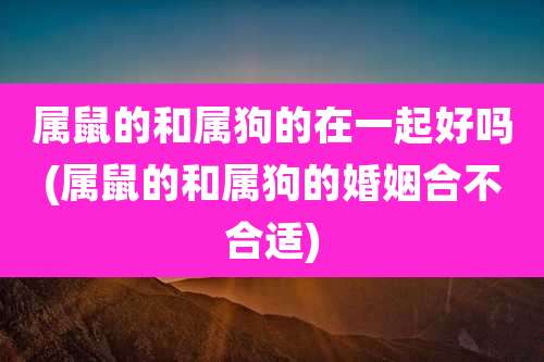 属鼠的和属狗的在一起好吗(属鼠的和属狗的婚姻合不合适)