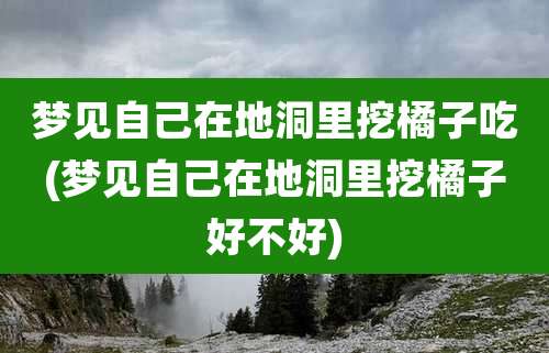 梦见自己在地洞里挖橘子吃(梦见自己在地洞里挖橘子好不好)
