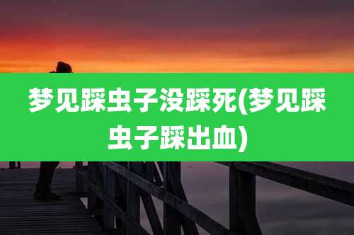 梦见踩虫子没踩死(梦见踩虫子踩出血)