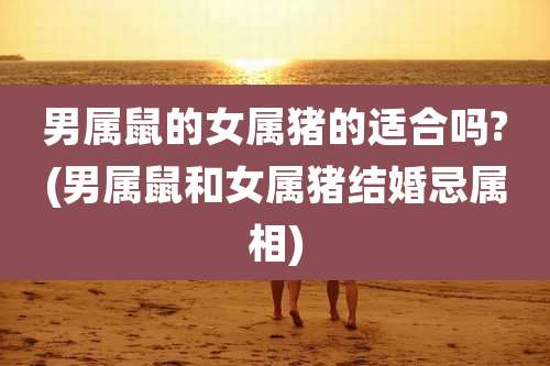 男属鼠的女属猪的适合吗?(男属鼠和女属猪结婚忌属相)