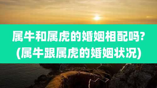 属牛和属虎的婚姻相配吗?(属牛跟属虎的婚姻状况)