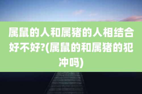 属鼠的人和属猪的人相结合好不好?(属鼠的和属猪的犯冲吗)