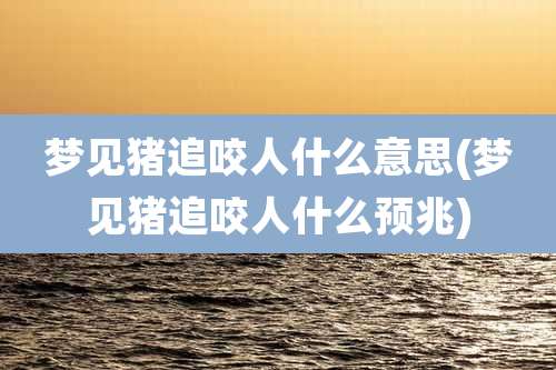 梦见猪追咬人什么意思(梦见猪追咬人什么预兆)